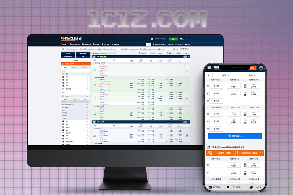pinnacle体育源码/运营版平博体育源码/中英泰国语言体育源码/实时赔率/USDT充值/欧洲杯
